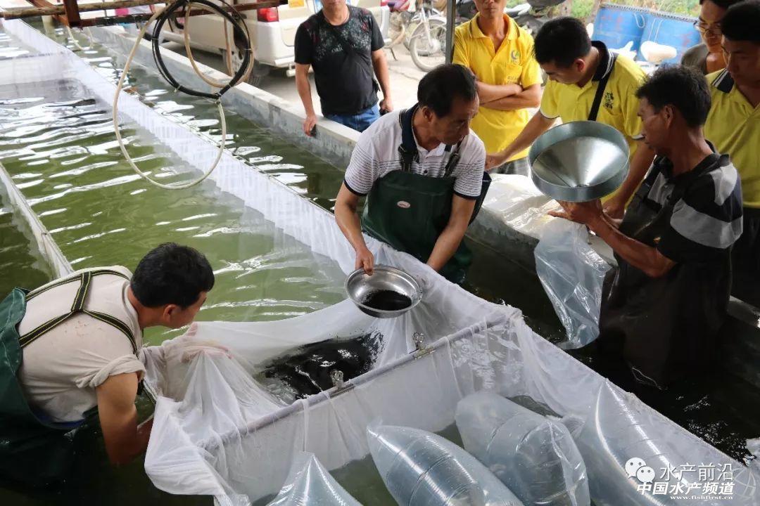 ��һ��ꠓ���ı�Ʒ���������~����ͻ��15Ԫ/������2�f����@�ˮ��a��ȼ���L�D�B�� | 2018���~ُ�Nָ��