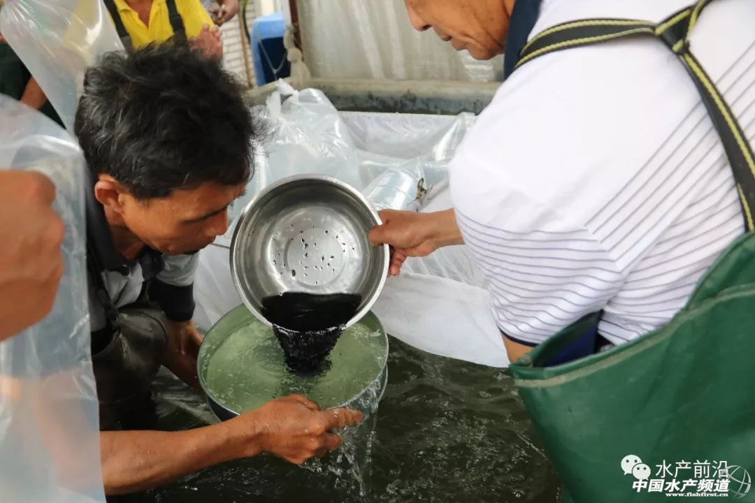 ��һ��ꠓ���ı�Ʒ���������~����ͻ��15Ԫ/���2�f����@�ˮ��a��ȼ���L�D�B�� | 2018���~ُ�Nָ��