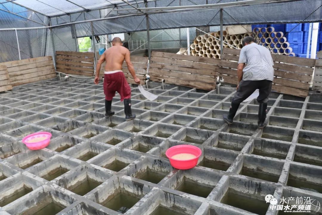 ��һ��ꠓ���ı�Ʒ���������~����ͻ��15Ԫ/���2�f����@�ˮ��a��ȼ���L�D�B�� | 2018���~ُ�Nָ��