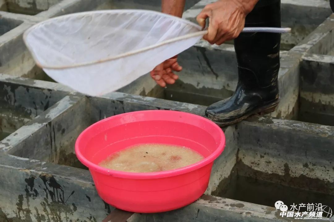 ��һ��ꠓ���ı�Ʒ���������~����ͻ��15Ԫ/������2�f����@�ˮ��a��ȼ���L�D�B�� | 2018���~ُ�Nָ��