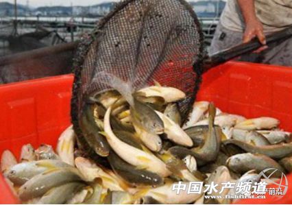 30�|β�Ј�����������x��(y��u)�|(zh��)�磿�����S�~֮�������Ҹ�����֧��