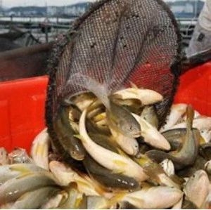 30�|β�Ј�����������x���|�磿�����S�~֮�������Ҹ�����֧��