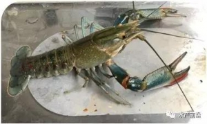 �����r(ji��)60Ԫ/����޵�ˮ���r�ܷ����ϰ��ղ���