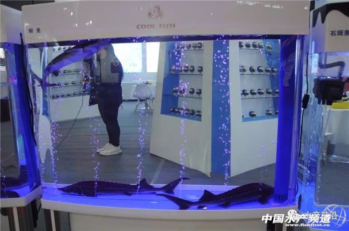 ��Ϲ��I(y��)չ���݁��u���������600����I(y��)�R���Lɳ����·���TҪ�Ĵ��ǡ���