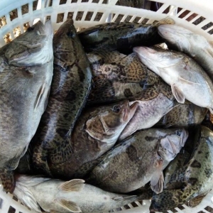 �Z�~�r(ji��)��ȫ����������ͨ��10��̝400�f(w��n)��