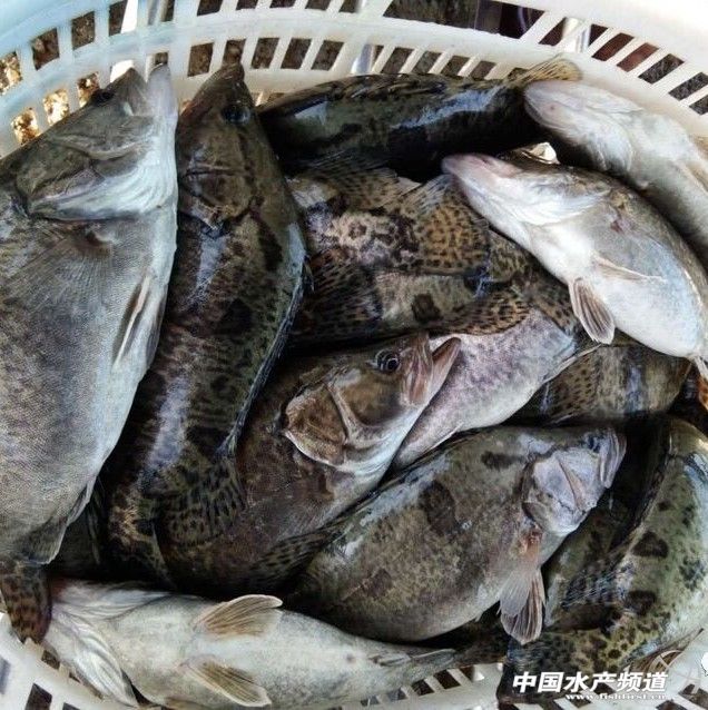 �Z�~�r(ji��)��ȫ����������ͨ��10��̝400�f(w��n)��