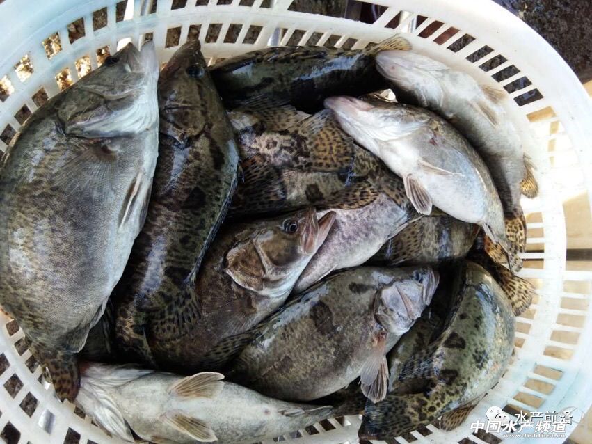 �Z�~�r��ȫ����������ͨ��10��̝400�f����������ô����