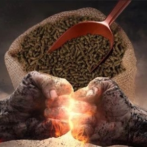 �@��ˮ�a(ch��n)����I(y��)�߳����Լ�����ɫ