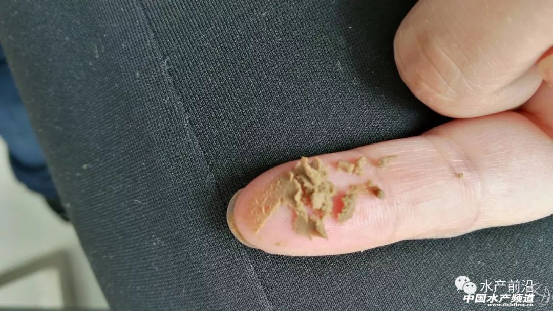 ���R��Ͷ�a����ˮ�a���N��5�f������δ����߀Ҫ��������һ��