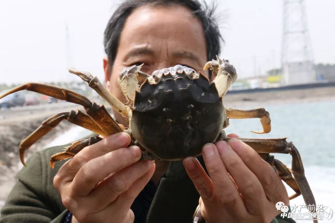 ������������з����Ʒ�Ƶġ��L(f��ng)�ڡ����R�������I(y��)���֓�λ�ĕr�C(j��)����