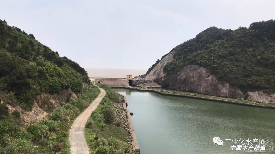 �����������ּ�ˮ̎�����㽭�@�ׂ��˜ʻ��B�r������Ҋ�^�ׂ���