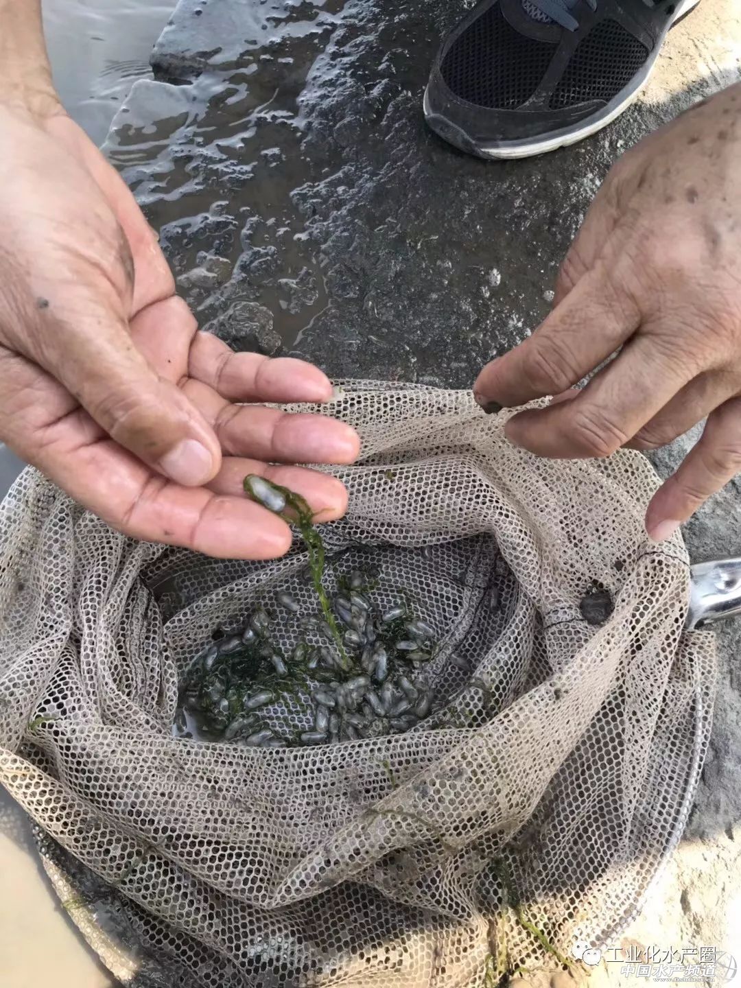 �����������ּ�ˮ̎�����㽭�@�ׂ��˜ʻ��B�r������Ҋ�^�ׂ���