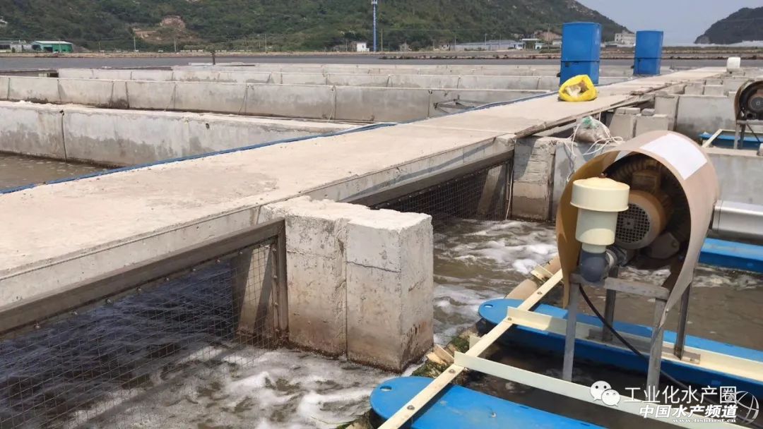 �����������ּ�ˮ̎�����㽭�@�ׂ��˜ʻ��B�r������Ҋ�^�ׂ���