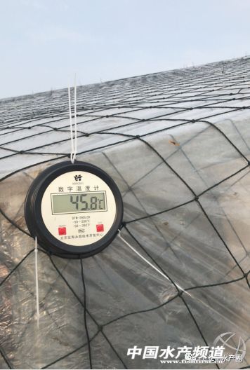 ��������ּ�ˮ̎�����㽭�@�ׂ��˜ʻ��B�r������Ҋ�^�ׂ���