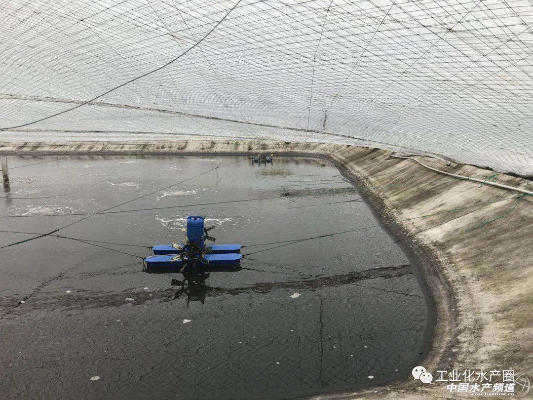 ��������ּ�ˮ̎�����㽭�@�ׂ��˜ʻ��B�r������Ҋ�^�ׂ���