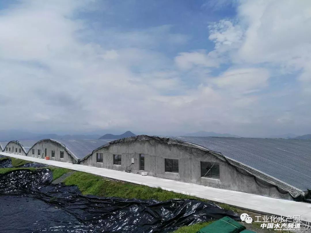 �����������ּ�ˮ̎�����㽭�@�ׂ��˜ʻ��B�r������Ҋ�^�ׂ���