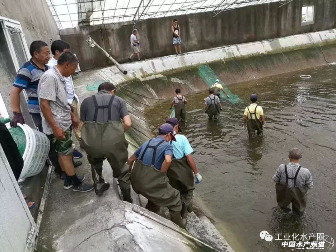 �����������ּ�ˮ̎�����㽭�@�ׂ��˜ʻ��B�r������Ҋ�^�ׂ���