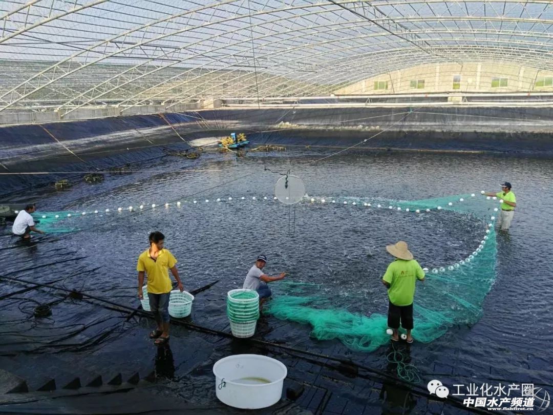 �����������ּ�ˮ̎�����㽭�@�ׂ��˜ʻ��B�r������Ҋ�^�ׂ���