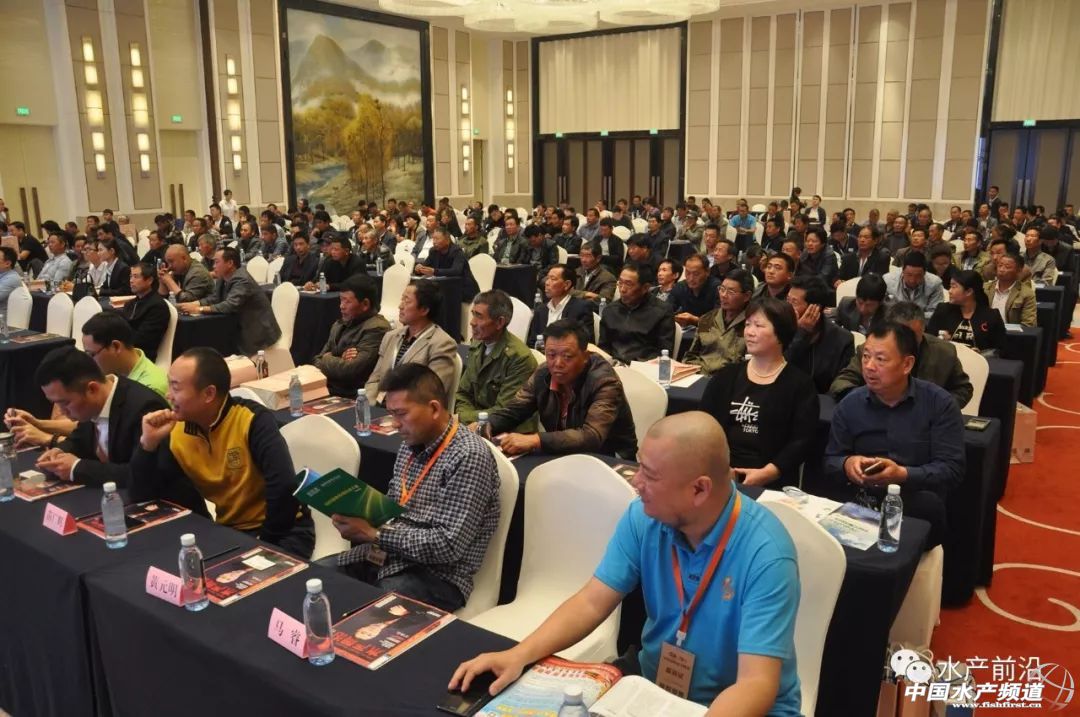 �؉�֮�£��A�|���r�a�I���R�h�����h���������ȉ������a�I����׃���������ƾ�֮·���@�