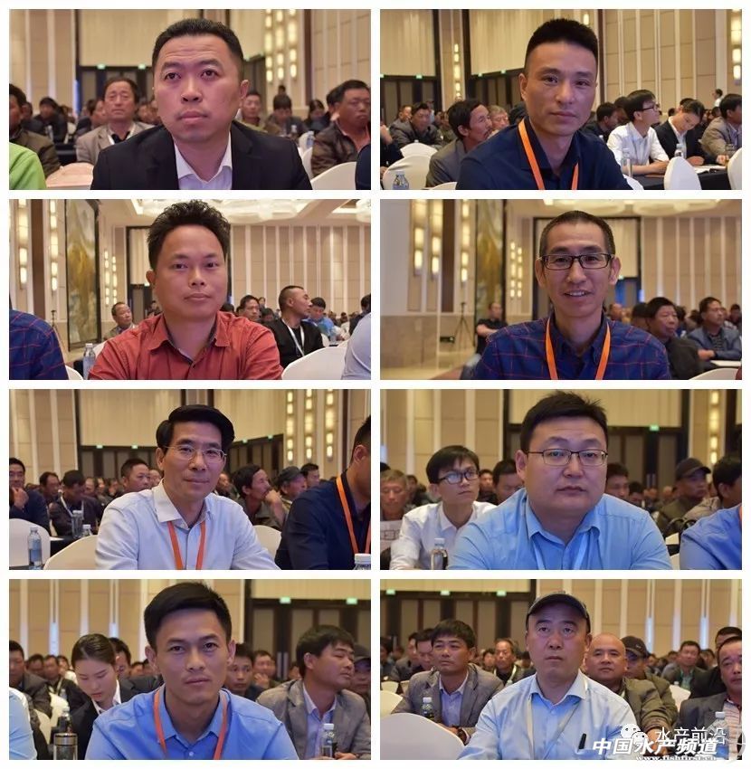 �؉�֮�£��A�|���r�a�I���R�h�����h���������ȉ������a�I����׃���������ƾ�֮·���@�