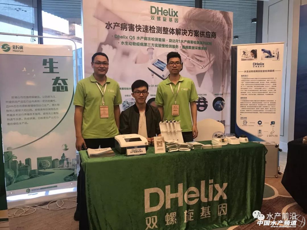 �؉�֮�£��A�|���r�a�I���R�h�����h���������ȉ������a�I����׃���������ƾ�֮·���@�