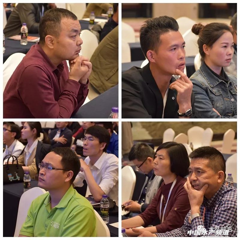 �؉�֮�£��A�|���r�a�I���R�h�����h���������ȉ������a�I����׃���������ƾ�֮·���@�