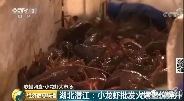 �����r���q��70Ԫ/��q�����_60%��2000�|��С���r�I���nƱ����C���Y�����񔇾֡������Եء�