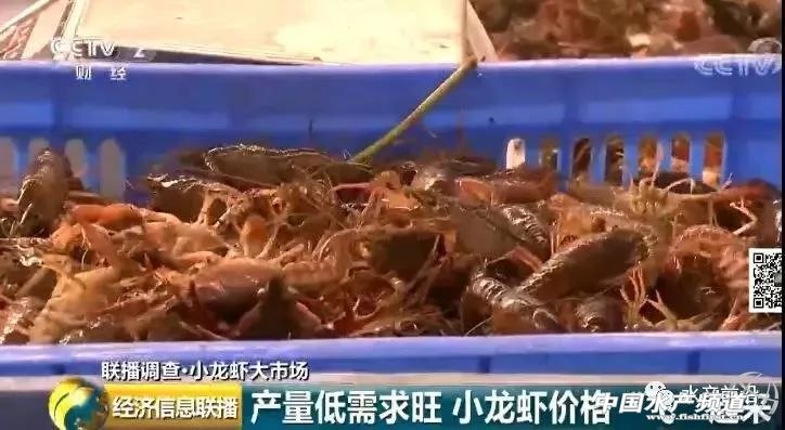 �����r���q��70Ԫ/��q�����_60%��2000�|��С���r�I���nƱ����C���Y�����񔇾֡������Եء�