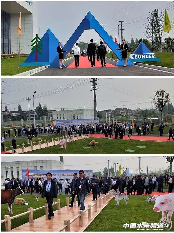 ���Ǿޟo�ԣ���ȫ�����a(ch��n)�˳�2�|����ϣ����Ї�30���꣬������������һ������