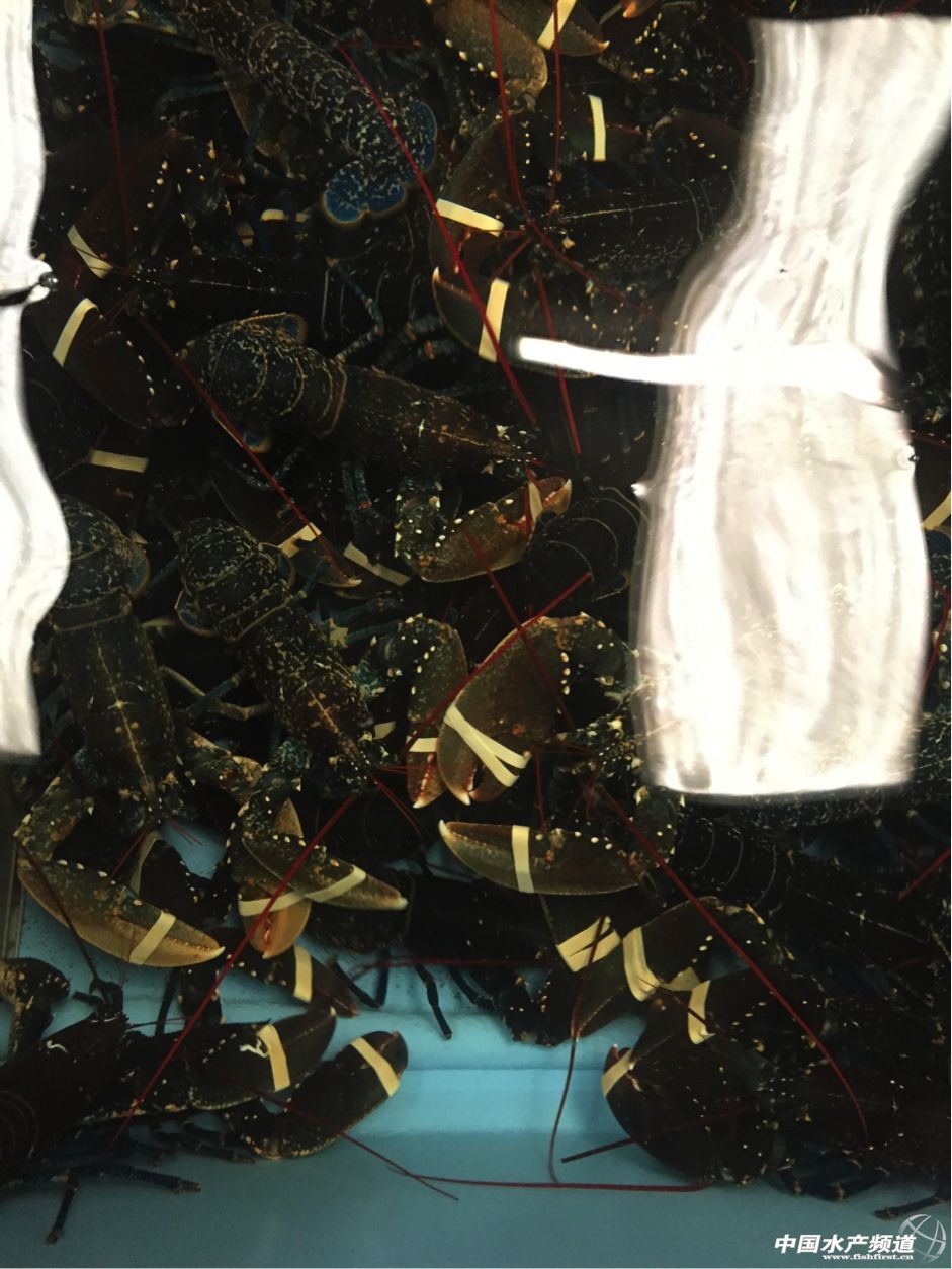 ���N�ԼҺ��r���۠��m�l���Ї��Ј��ˣ���Ո�Ї���I���؅��^���c��30��Դ�^���a��Iһ��һ��Մ��