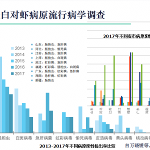 �S���������׌��r��������c�L(f��ng)�U(xi��n)���ز���