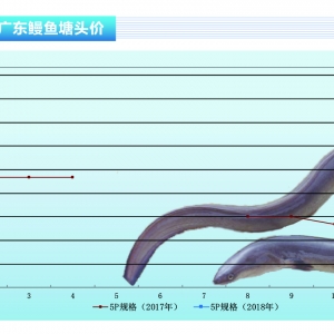 ���~���ձ����r���^�m(x��)����ϝq������ˮ�a(ch��n)ǰ�ء�2018��4�¿��Ј�څ��