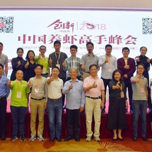 �������壿�����������ߣ��c����С���@���д�