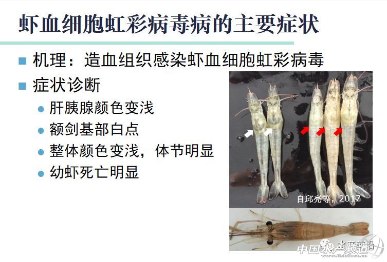 �r�硢�����������B(y��ng)ֳϵ�y(t��ng)��������˵��B(y��ng)ֳ���@Щ���}���̎����