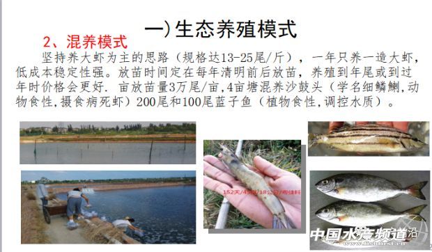 �r�硢�����������B(y��ng)ֳϵ�y(t��ng)��������˵��B(y��ng)ֳ���@Щ���}���̎����