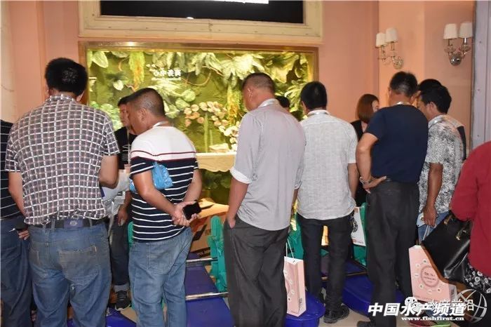 �r�硢�����������B(y��ng)ֳϵ�y(t��ng)��������˵��B(y��ng)ֳ���@Щ���}���̎����