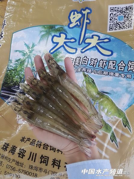 ���궬����Ͷι�@�N��ϣ��r���u�F��2�K/����ԭ����......