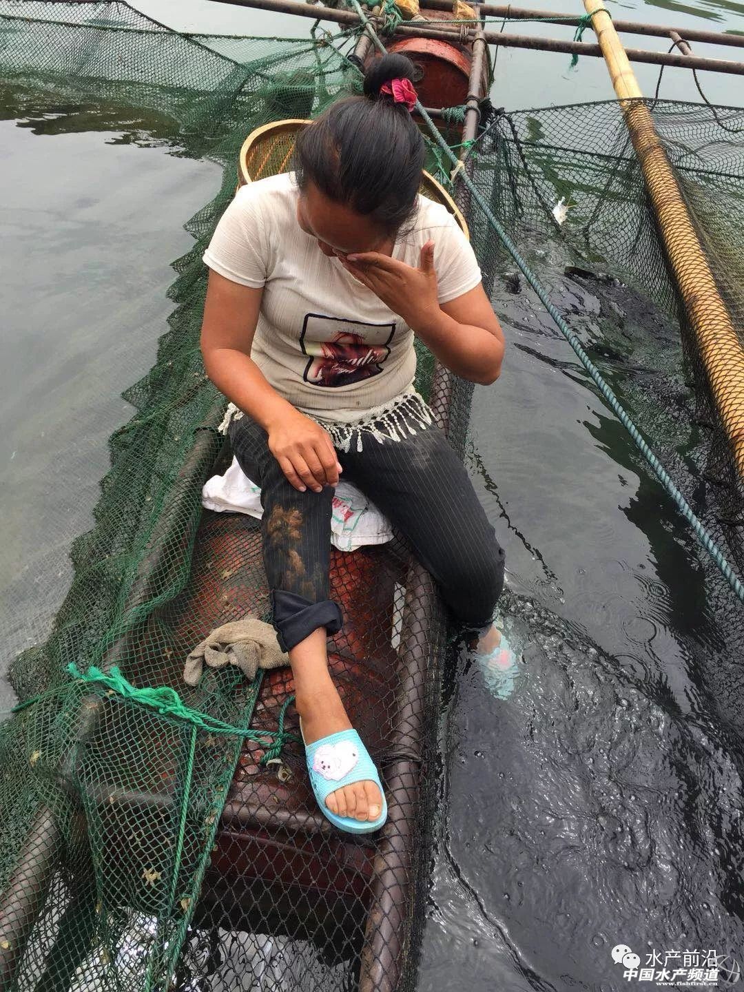 �|���~�������У��~�r15Ԫ������2.5Ԫ/��F�ݞ������齭����ˮ���W�����ȫȡ�����B���������L3���£���t���ǜ��֮��