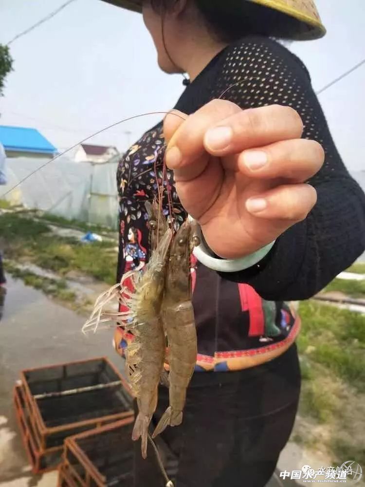 ���O���_�������ش��rӭ�����ո߃r���������@��s����15Ԫ