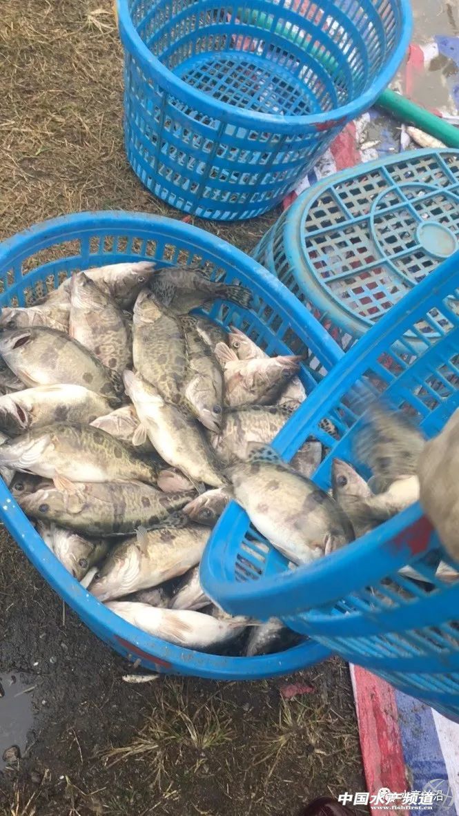 ���Ⱪ�����V�|�Z�~�ٵ�2Ԫ/����յ�4Ԫ/������ʡ�Z�~�r���»�