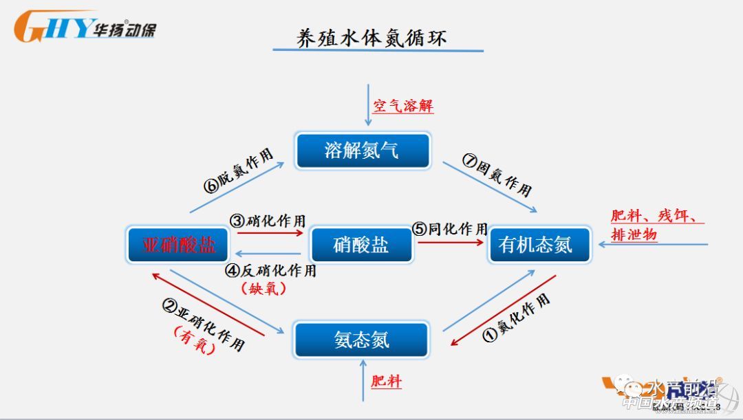 ������؛���������}�ߣ����׷���������鲻֪���@Щԭ��