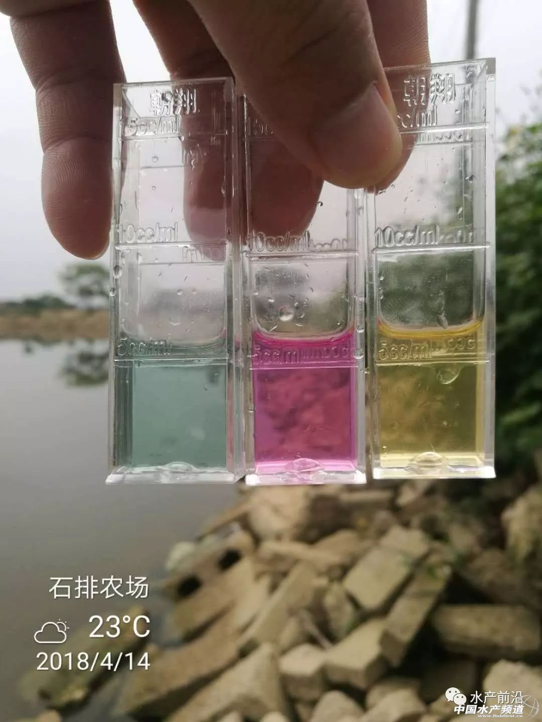 ������؛���������}�ߣ����׷���������鲻֪���@Щԭ��
