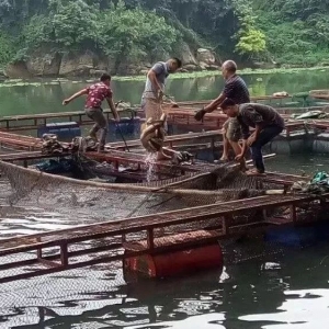 �F�ݡ��V����ش�Ҏģ���W�䣬��ǧ�f���~�o������