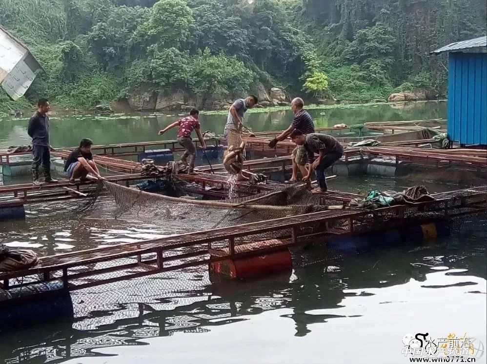 �~�r�ش�q���F�����V����ش�Ҏ(gu��)ģ���W(w��ng)�䣬�ό����F�ۡ���ɫ�f������Ў�ǧ�f���~�o������