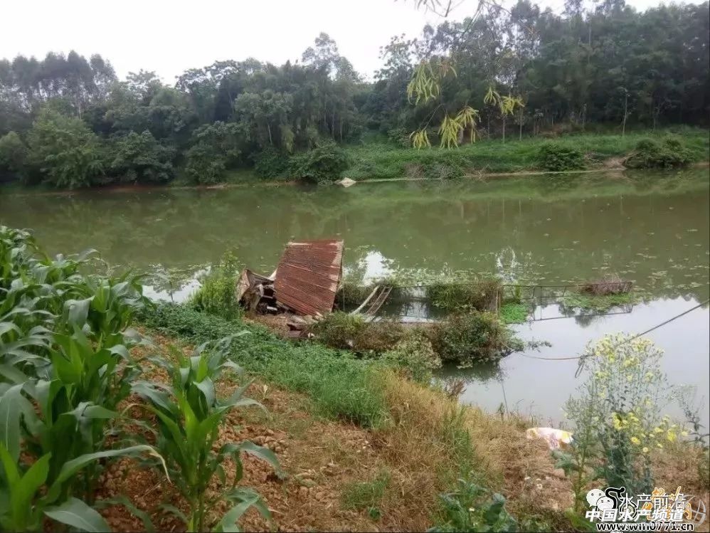 �~�r�ش�q���F�����V����ش�Ҏ(gu��)ģ���W(w��ng)�����ό����F�ۡ���ɫ�f������Ў�ǧ�f���~�o������