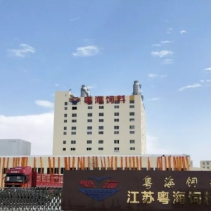 2.4�|���������ʷ�����Ͷ�Y����A�|