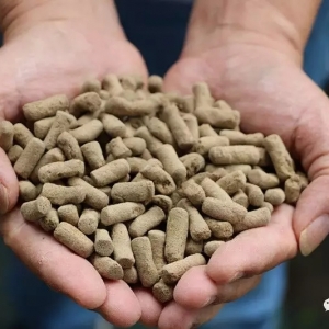 �Z�~���PK���D���~���l������A�ң�