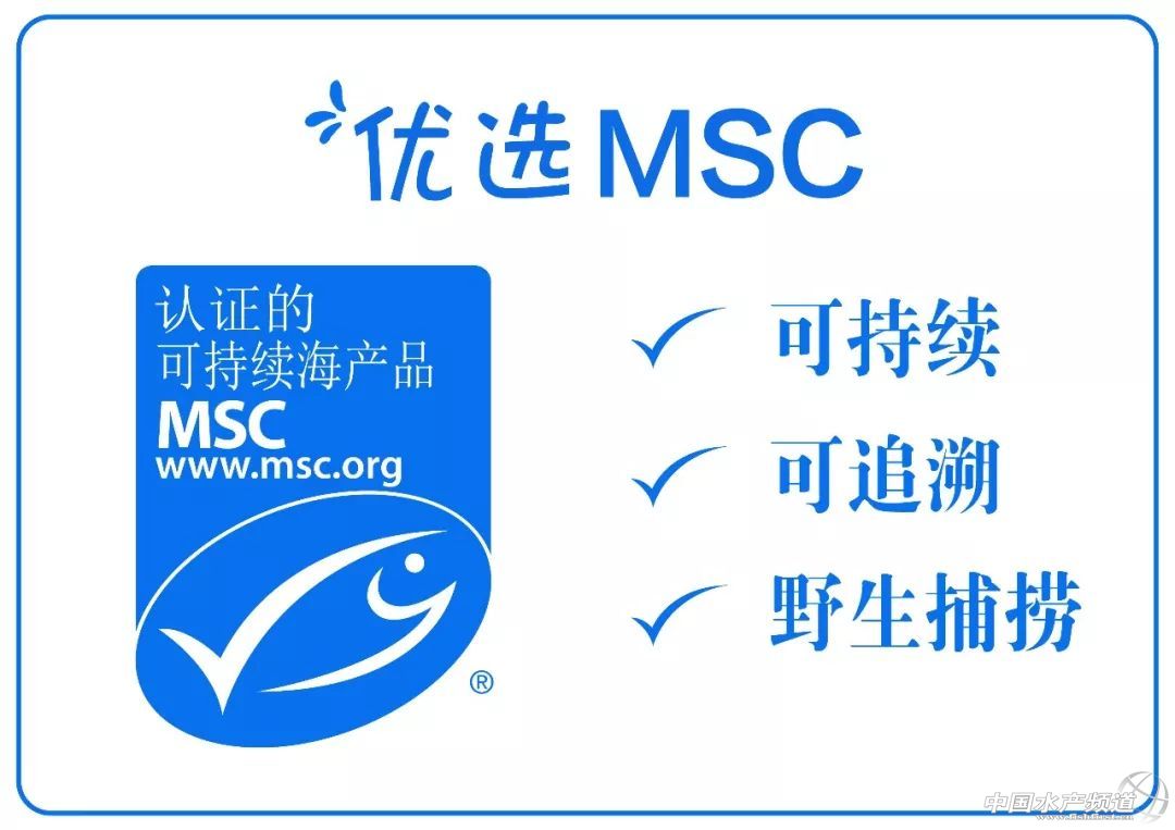 MSC�ɳ��m(x��)���r�м�����¡�������Ϻ���ʳչ��16-18�գ�ȫ��MSC�ɳ��m(x��)Ұ�����ƺ��r�F(xi��n)������Ʒ�b��