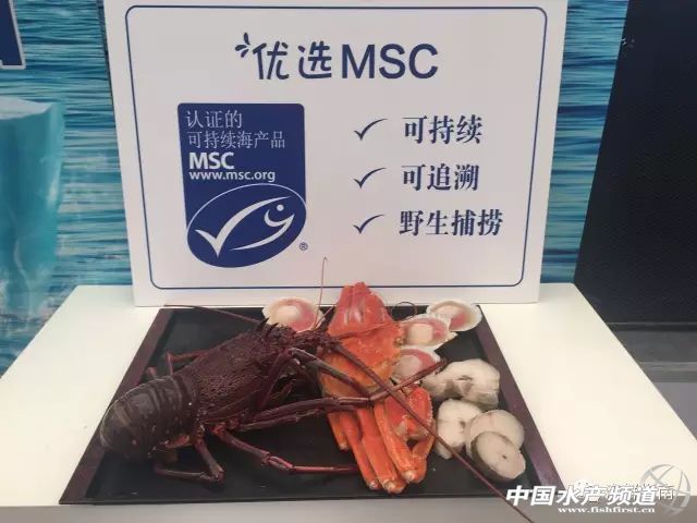 MSC�ɳ��m(x��)���r�м�����¡�������Ϻ���ʳչ��16-18�գ�ȫ��MSC�ɳ��m(x��)Ұ�����ƺ��r�F(xi��n)������Ʒ�b��