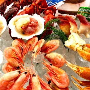 �Ї��ׂ��ɳ��m���a���м���������ʳչ��